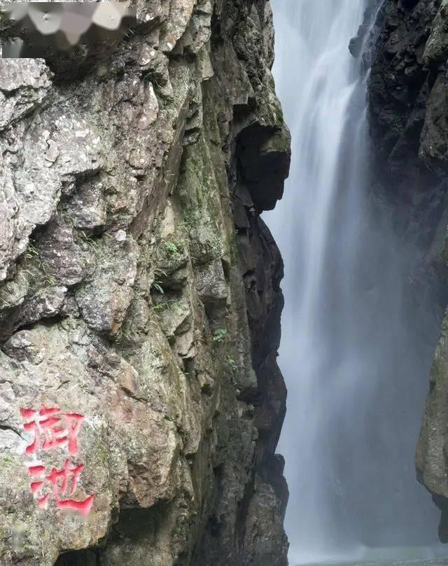 逗小猴开心系列171